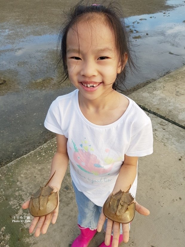 潮間帶24.jpg