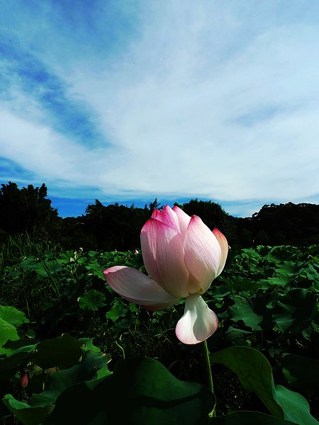 P1010049.JPG