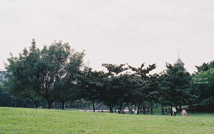 F1000029