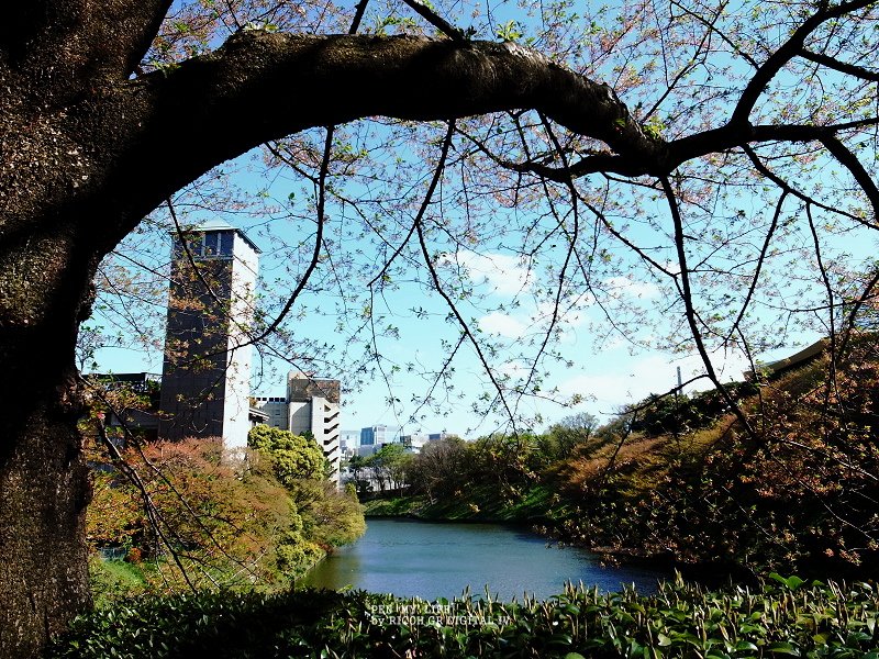 R9041099.jpg