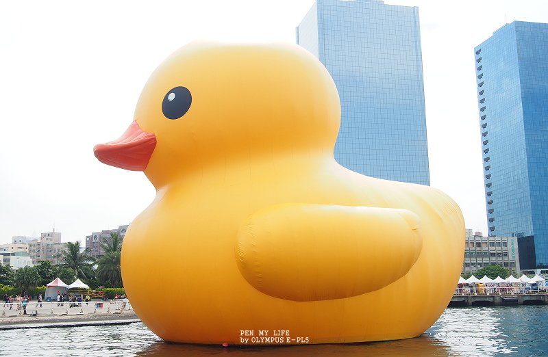 PA010219.JPG