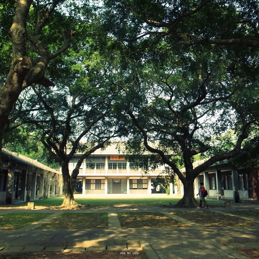 R9041634.JPG