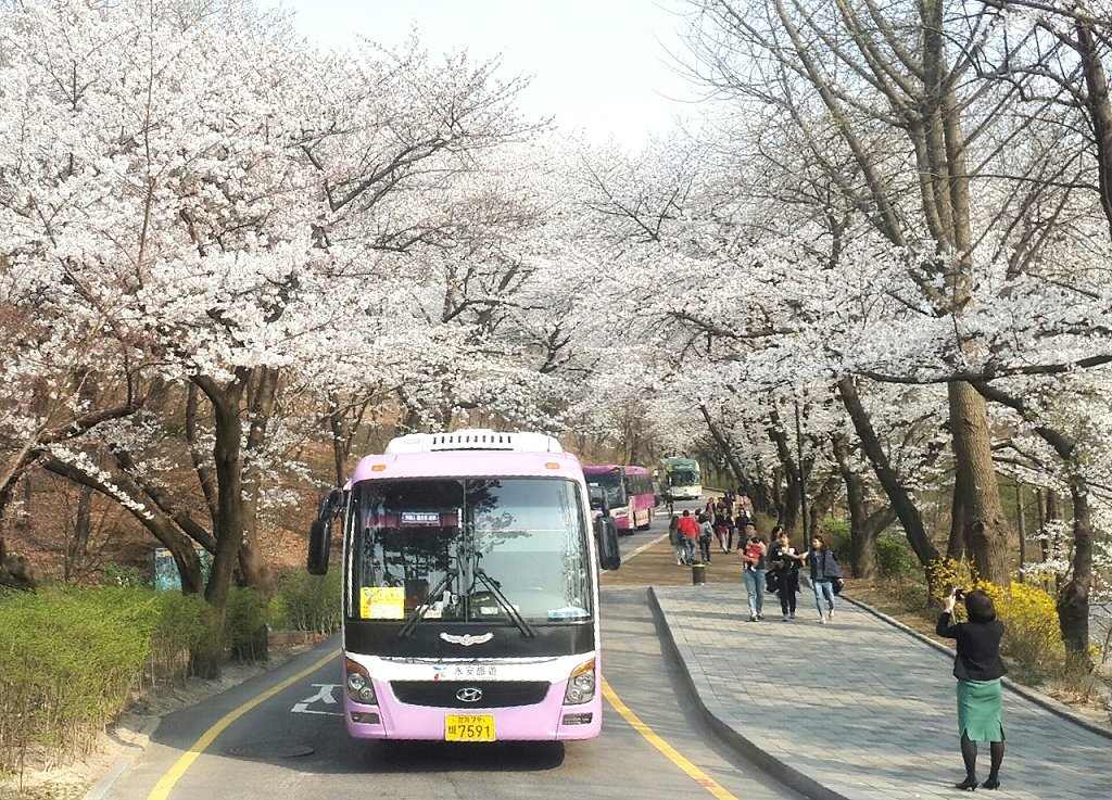 2014-04-01-16-44-22_deco.jpg