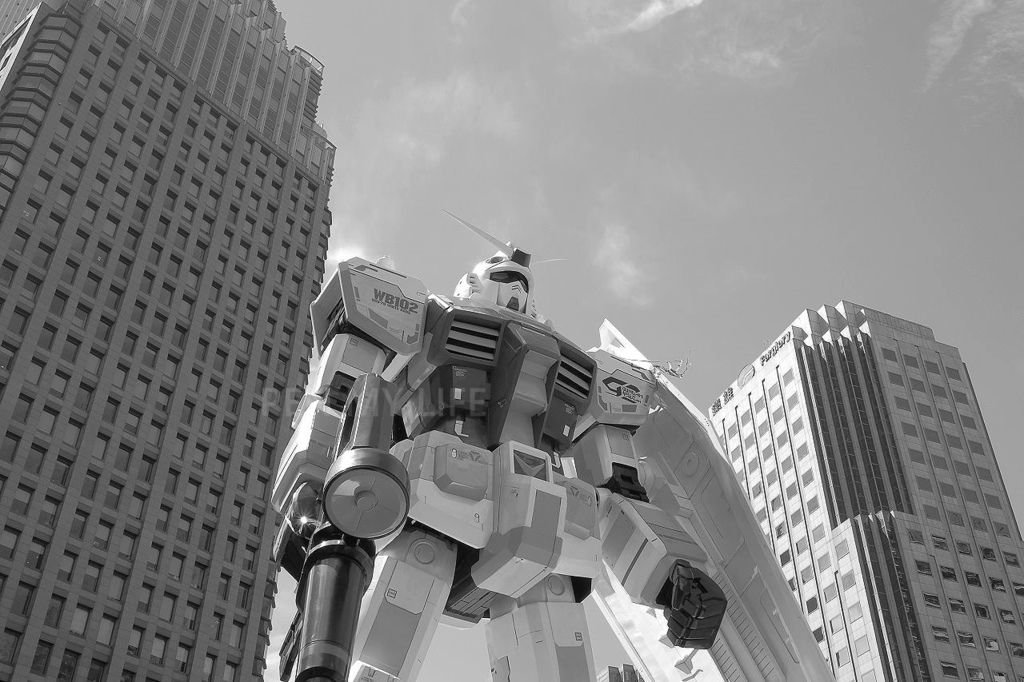 PA100043.jpg