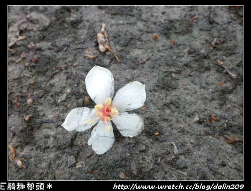 下一張(熱鍵:c)