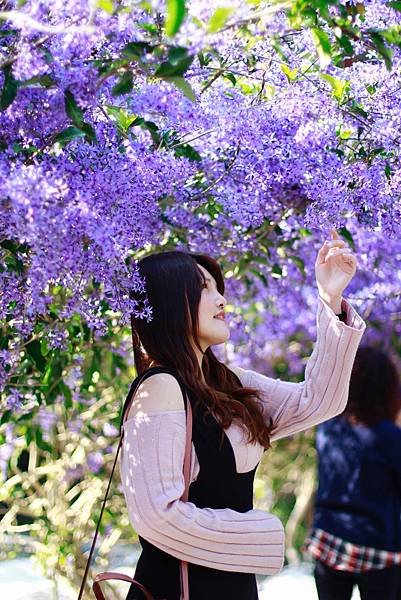 紫 (28).JPG