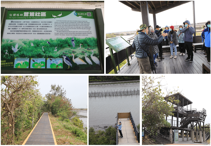 台南好好玩！台江里海遊程-魚見嬌客台江冬日饗食宴！登無人島一