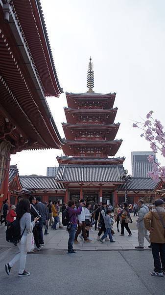DSC06180.jpg