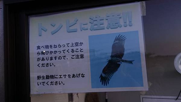 DSC07329.JPG