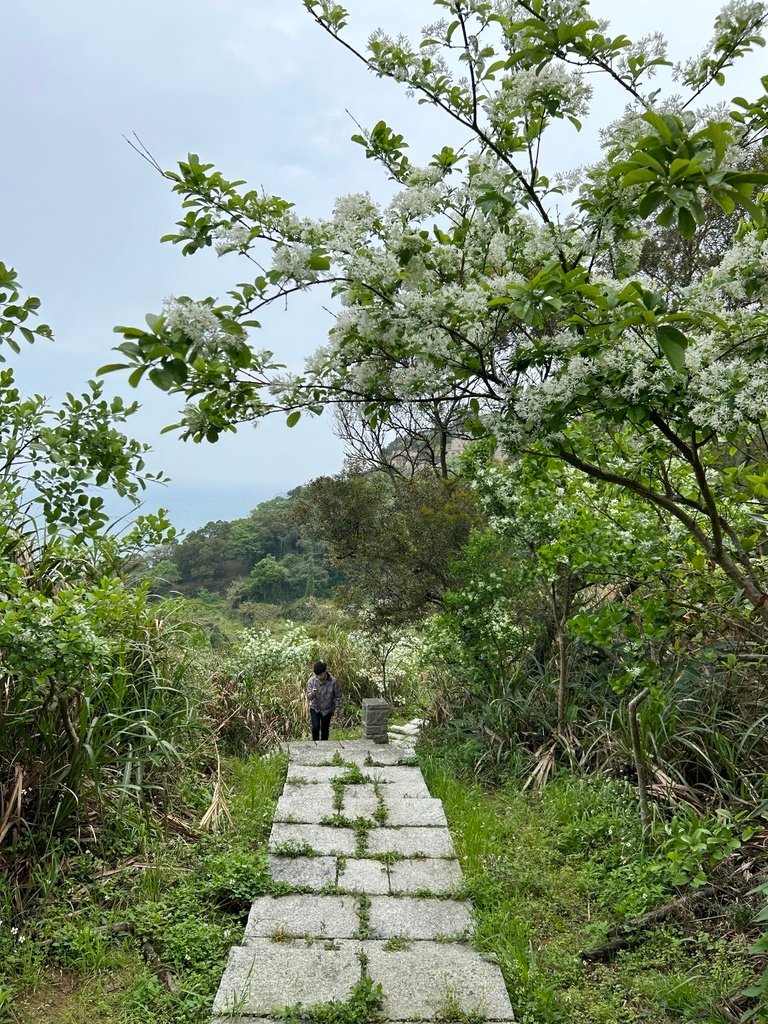 20240406_21芹壁步道04.JPG