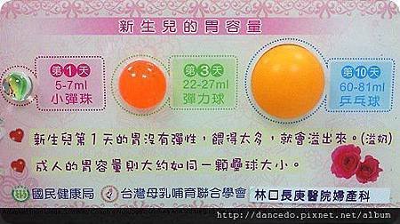 新生兒的胃容量.jpg