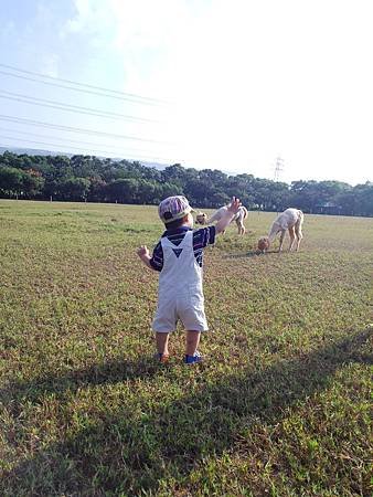 2013-10-11 15.28.28.jpg
