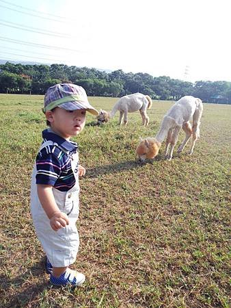 2013-10-11 15.28.38.jpg
