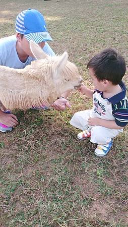 2013-10-11 15.35.51.jpg
