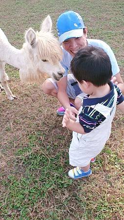 2013-10-11 15.37.01-2.jpg