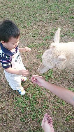 2013-10-11 15.37.46.jpg