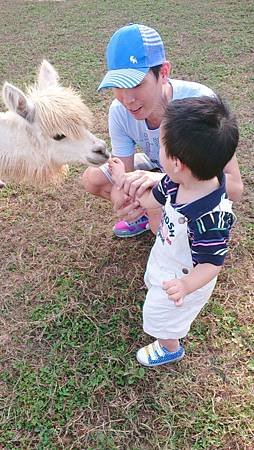 2013-10-11 15.37.00.jpg