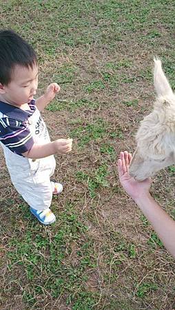 2013-10-11 15.37.41.jpg
