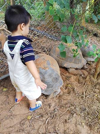 2013-10-11 16.35.21.jpg