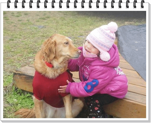 3.gif