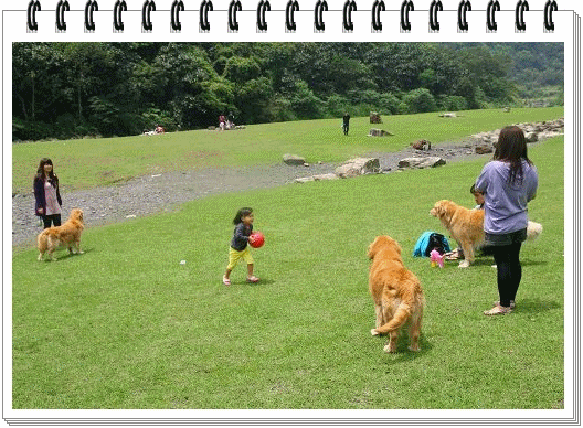 1.gif
