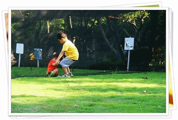 5.gif