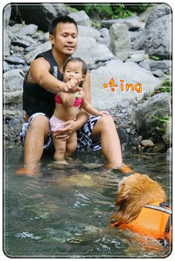 1.gif
