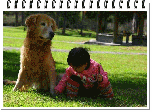 2.gif