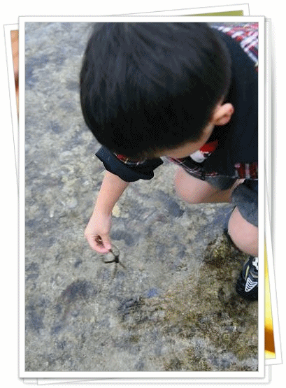 11.gif
