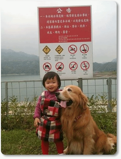 1.gif