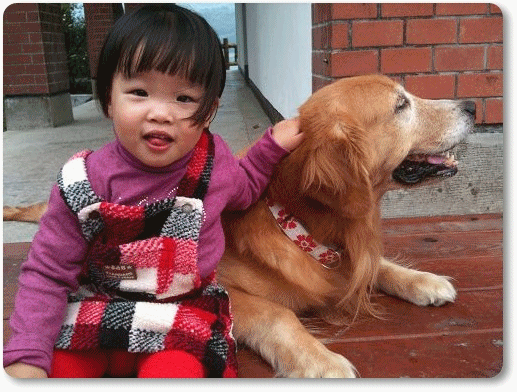 4.gif