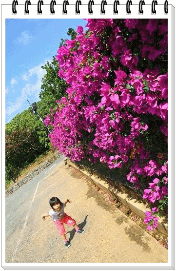 1.gif