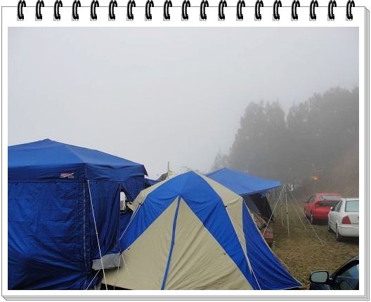 DSC09678.jpg