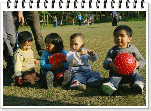 5.gif