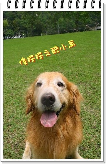 照片 267.jpg