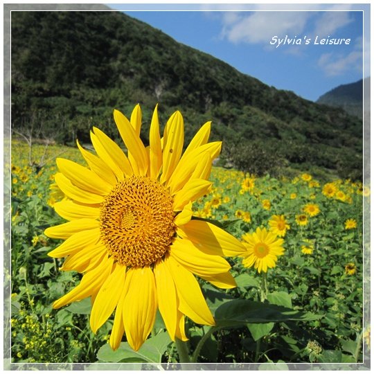 hualien2.jpg