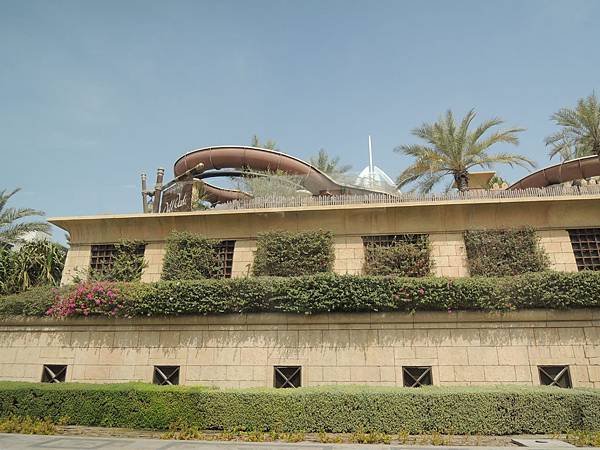 DSCN1981