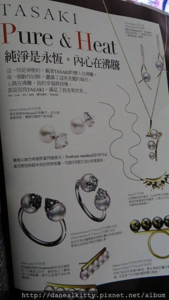 DSC08761.JPG