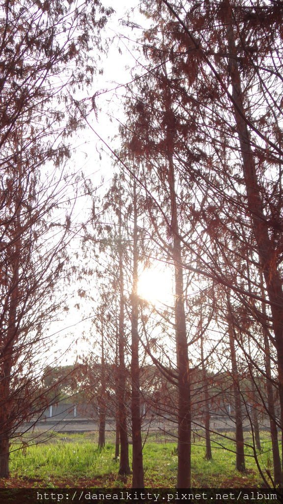 DSC08557.JPG