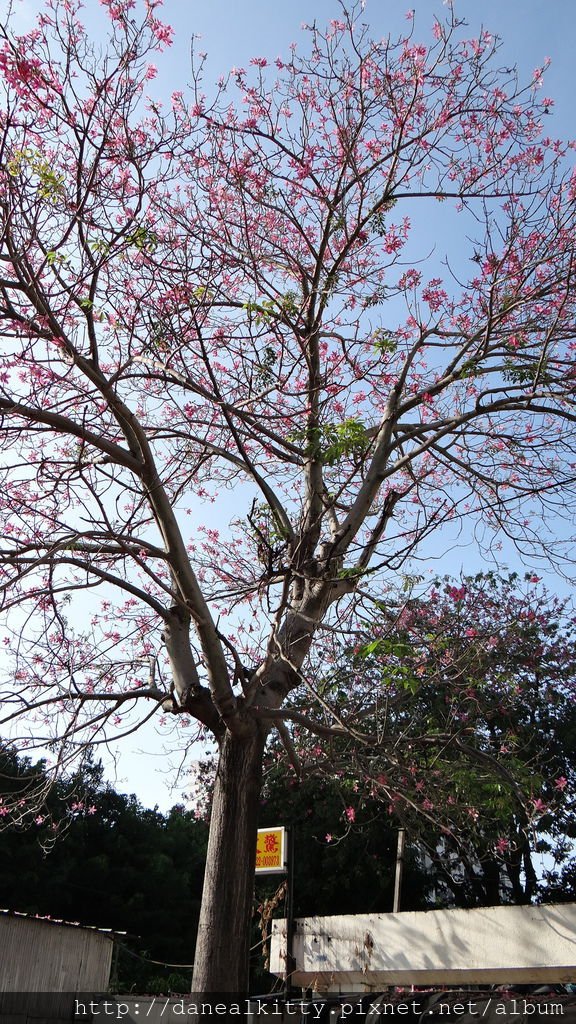 DSC04125.JPG