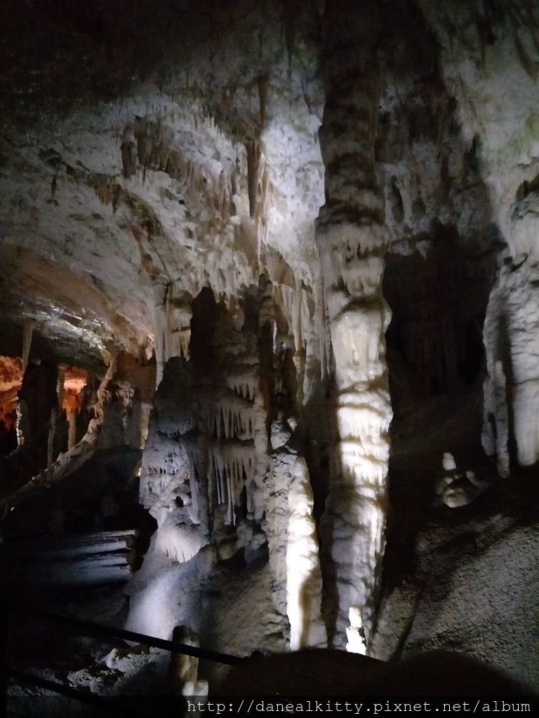 IMG20180810144533.jpg
