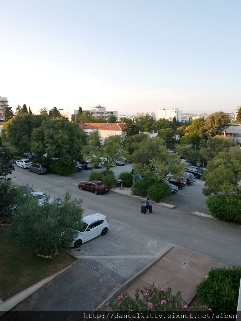 P1030237.JPG