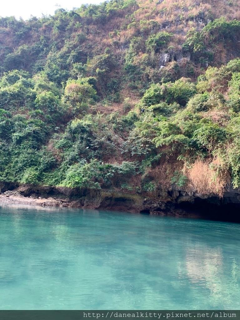 IMG_2968.JPEG