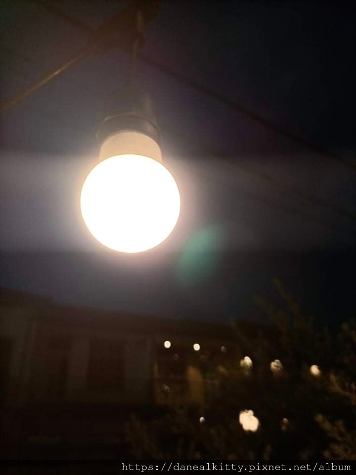 IMG_8068.JPEG