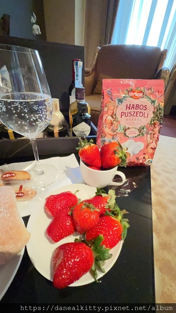 布達佩斯~五星 安納塔拉 紐約飯店 Anantara New