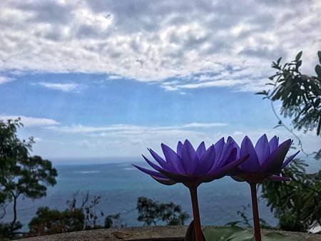 環半島-DAY4-5