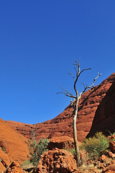 DSC_0135.JPG