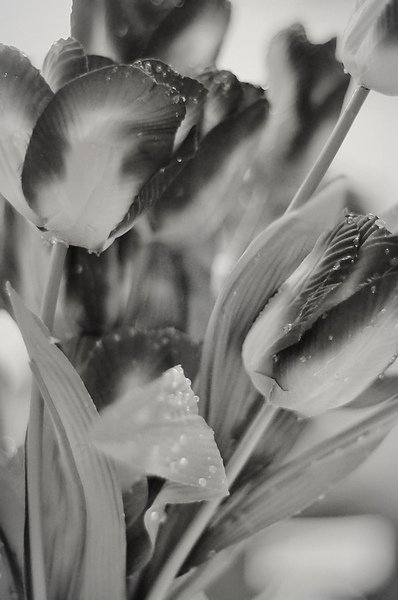 DSC_0729_May.1.jpg