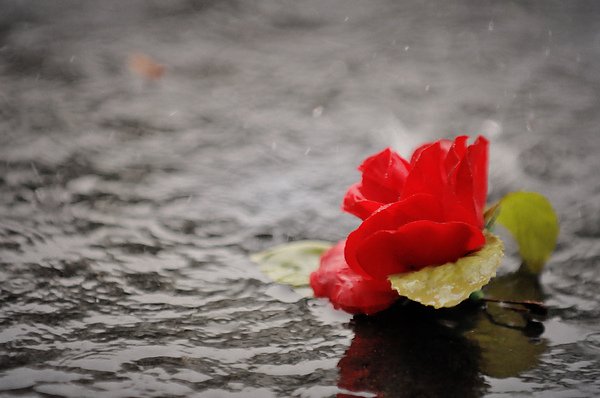DSC_0853_May.6.jpg