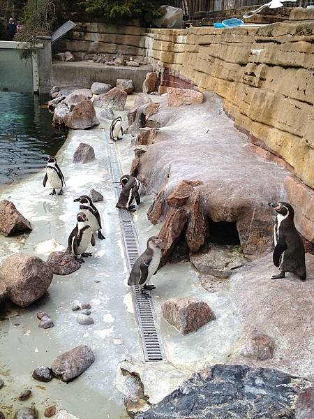2013-04-26 14.41.39.jpg